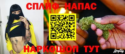сатива Анжеро-Судженск