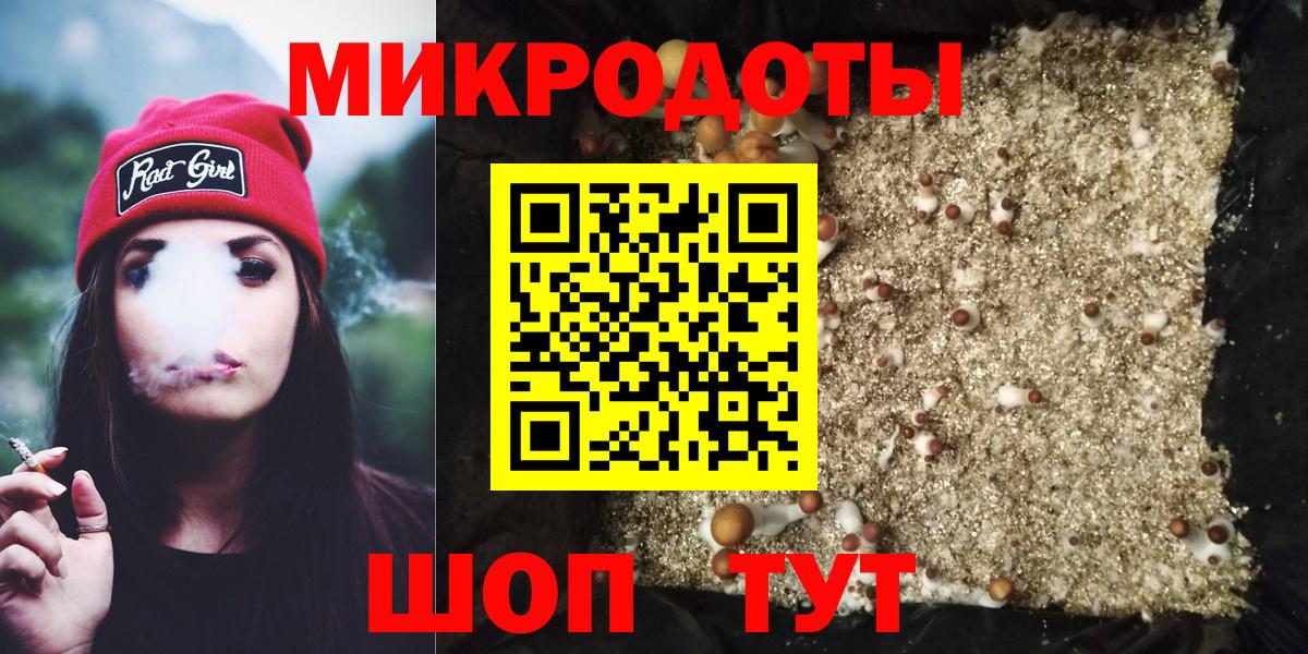 Галлюциногенные грибы Psilocybe  Вход с VPN  Большой Камень 