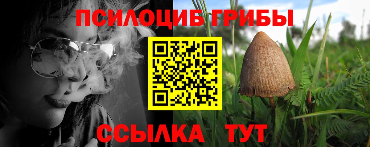 Псилоцибиновые грибы ЛСД Большой Камень